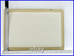 20 vrais papillons préparés comme murale vitrine taxidermie A-20-madam-01