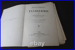 (219B) Nouveaux procédés de TAXIDERMIE Le Comte Alléon 1898