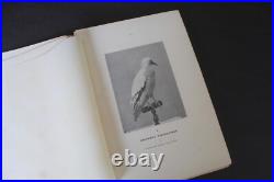 (219B) Nouveaux procédés de TAXIDERMIE Le Comte Alléon 1898