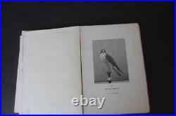 (219B) Nouveaux procédés de TAXIDERMIE Le Comte Alléon 1898