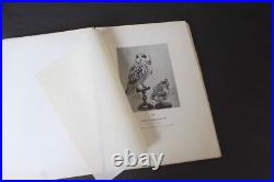 (219B) Nouveaux procédés de TAXIDERMIE Le Comte Alléon 1898