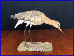 3 nices antiques Birds Taxidermy Natural History Wunderkammer Tassidermia Stuffed Taxidermie Cabinet Curiosity