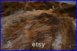 5PC Beaver Pelt Peau de castor bronzé habillée lourde prime Beaver Fur