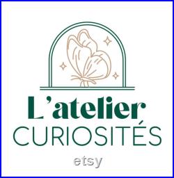 Acherontia Atropos Papillon tête de mort naturalisé Spécimen européen emblématique pour cabinet de curiosités et collection