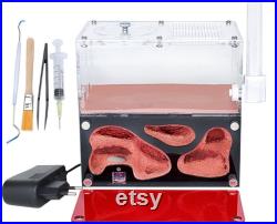 Acrylic Ant Nest Temperature Control Concrete Anthill, Infinite Expansion, Drinking Ants Kit, Queen and Colony Breeding, Feed Area Antfarm Acrylic Ant Nest Temperature Control Concrete Anthill, Infinite Expansion, Drinking Ants Kit, Queen and Colony Breeding, Feed Area Antfarm