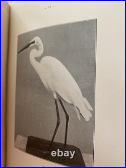 Alleon Nouveaux Procedes De Taxidermie Accompagnes De Superbes Illustrations