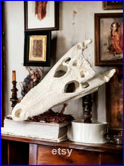Alligator Real Taxidermy Skull, Home Decor, Study Collectible Sample, Special Gifts, Animal Bones For Crafts, skeleton head, bleached