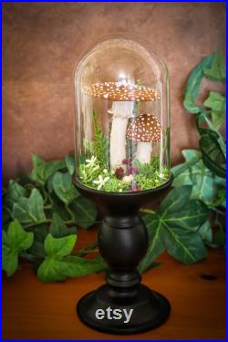 Amanite tue-mouches socle pour cabinet de curiosités decoration sorcière funghi fungi champignon mushroom céramique faïence moody cottage