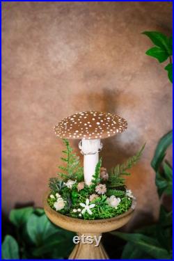 Amanite tue-mouches socle pour cabinet de curiosités decoration sorcière funghi fungi champignon mushroom céramique faïence moody cottage