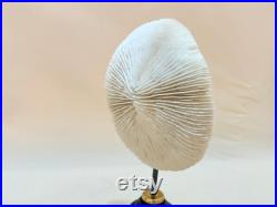 Ancien Corail blanc naturel sur socle en bois tourné XIXe cabinet de curiosités vintage Presse-papier collection France Napoléon III objet