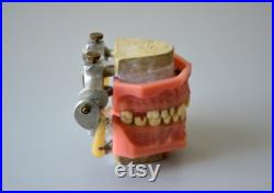Ancien dentier bouche Objet de curiosité médical dentiste orthodontie