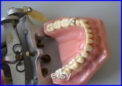 Ancien dentier bouche Objet de curiosité médical dentiste orthodontie