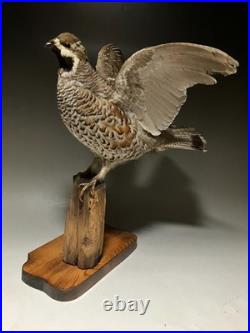 Animaux en peluche, oiseau, tétras des noisettes (Tetrastes bonasia) taxidermie