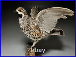 Animaux en peluche, oiseau, tétras des noisettes (Tetrastes bonasia) taxidermie