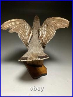 Animaux en peluche, oiseau, tétras des noisettes (Tetrastes bonasia) taxidermie
