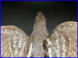 Animaux en peluche, oiseau, tétras des noisettes (Tetrastes bonasia) taxidermie