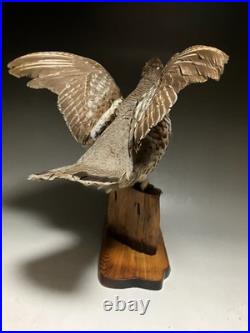 Animaux en peluche, oiseau, tétras des noisettes (Tetrastes bonasia) taxidermie