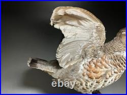 Animaux en peluche, oiseau, tétras des noisettes (Tetrastes bonasia) taxidermie