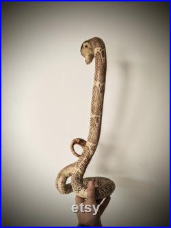 Antique Cobra Taxidermy 52cm oddities