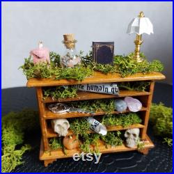 Autel de sorcière miniature Étagère ésotérique garnie et fioles