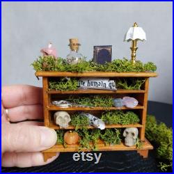 Autel de sorcière miniature Étagère ésotérique garnie et fioles