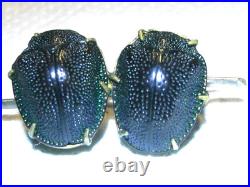 Authentique Bijoux Scarabée Taxidermie Insecte Broche Ancienne Jewel Pl Or