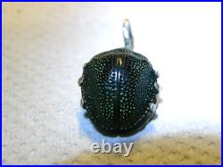 Authentique Bijoux Scarabée Taxidermie Pendentif Ancien Argent Massif Jewel
