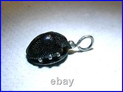 Authentique Bijoux Scarabée Taxidermie Pendentif Ancien Argent Massif Jewel