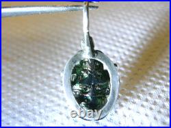 Authentique Bijoux Scarabée Taxidermie Pendentif Ancien Argent Massif Jewel