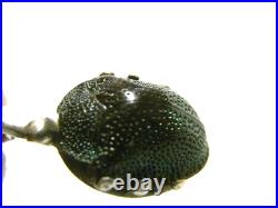 Authentique Bijoux Scarabée Taxidermie Pendentif Ancien Argent Massif Jewel