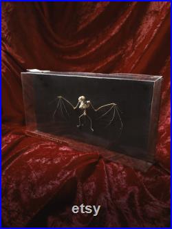 Bat skeleton Auzoux in vintage box oddities curiosities
