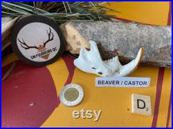 Beaver Jawbones