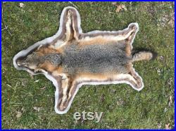 Belle Tanned XLg. GREY FOX RUG Fur Skin Hide Hunting Lodge Cabin Taxidermy head feet ( Urocyon cinereoargenteus )