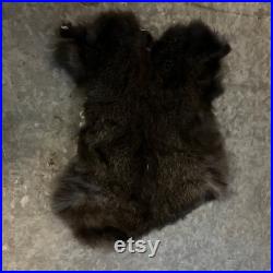 Black Rabbit Black Rabbit