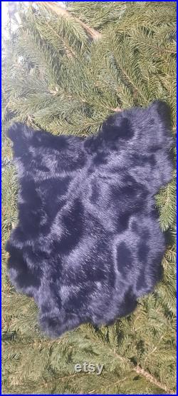 Black Rabbit Black Rabbit