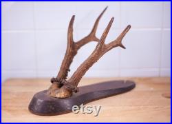 Bois de cerf vintage, taxidermie, cabinet de curiosités,corne, trophée de chasse, chalet, rustique, campagne, murale, deer horn,home decor