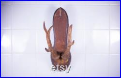 Bois de cerf vintage, taxidermie, cabinet de curiosités,corne, trophée de chasse, chalet, rustique, campagne, murale, deer horn,home decor