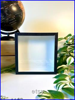 Boîte Entomologique Vide 18x18x5 cm Cadre Noir En Bois Fond Emalène Vitre en Verre Idéal Papillons, Insectes, Curiosités, Décoration Boîte Entomologique Vide 18x18x5 cm Cadre Noir En Bois Fond Emalène Vitre en Verre Idéal Papillons, Insectes, Curiosités, Décoration