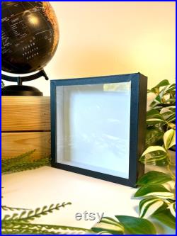 Boîte Entomologique Vide 18x18x5 cm Cadre Noir En Bois Fond Emalène Vitre en Verre Idéal Papillons, Insectes, Curiosités, Décoration Boîte Entomologique Vide 18x18x5 cm Cadre Noir En Bois Fond Emalène Vitre en Verre Idéal Papillons, Insectes, Curiosités, Décoration