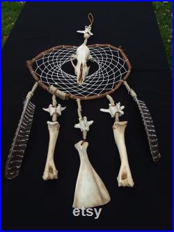 Bone Dreamcatcher, Dreamcatcher, Skull Dreamcatcher, Wiccan Dreamcatcher, Shaman, Native American, Oddities, Occult Decor, Skull Decor