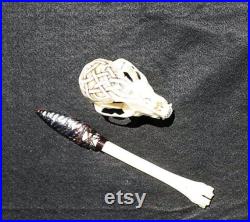 Bone Knife and Skull set Mahogany Obsidian Knife Painted Celtic knot Raccoon Skull Bone Athame Alter knife
