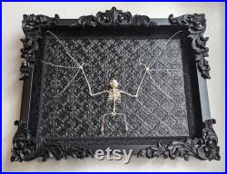Bones In Black (Real Bat Skeleton Cynopterus brachyotis Décor de chauve-souris Décor gothique Décor sombre Vampire Decor Chauve-souris encadrée)