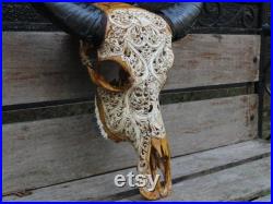 Buffalo skull carving CARVED water buffalo skull pattern bali