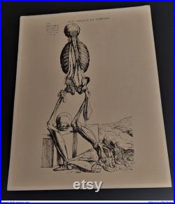 Buvard laboratoire Durabolin anatomie écorché XIV