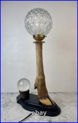 Cabinet Curiosité Taxidermie Lampe Boule de Cristal
