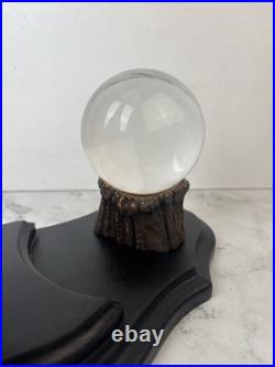 Cabinet Curiosité Taxidermie Lampe Boule de Cristal