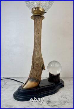 Cabinet Curiosité Taxidermie Lampe Boule de Cristal