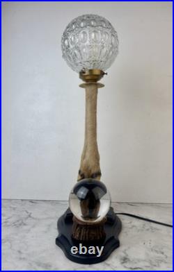 Cabinet Curiosité Taxidermie Lampe Boule de Cristal
