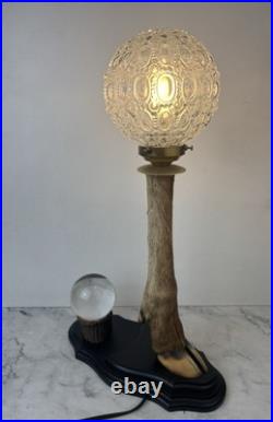 Cabinet Curiosité Taxidermie Lampe Boule de Cristal