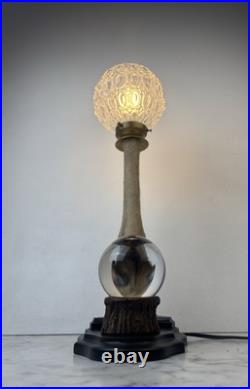 Cabinet Curiosité Taxidermie Lampe Boule de Cristal Cabinet Curiosité Taxidermie Lampe Boule de Cristal